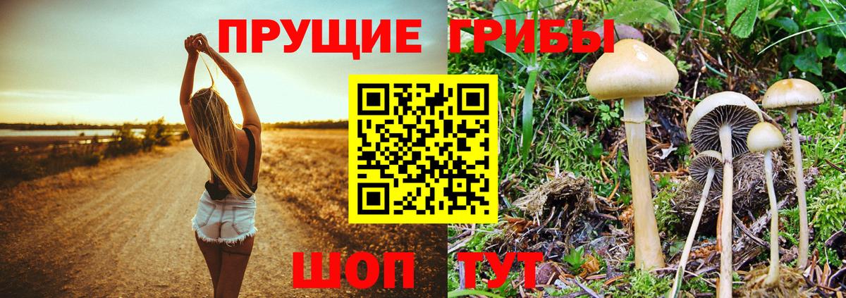 Псилоцибиновые грибы мухоморы Златоуст