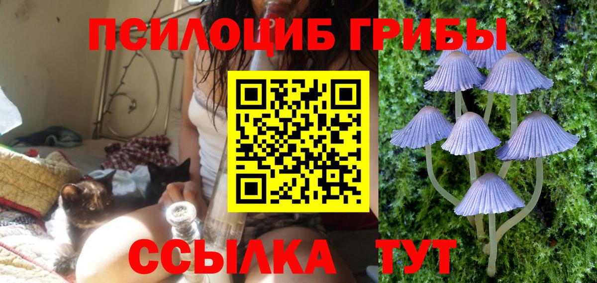 Галлюциногенные грибы Psilocybe  Галлюциногенные грибы MAGIC MUSHROOMS  Вход с VPN  Златоуст 